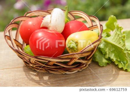 Just picked tomatoes and yellow bell pepper in a wicker basket 69612759