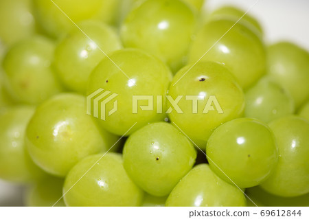 Beautifully shining autumn taste Shine Muscat (with polish) Beautifully shining autumn taste Shine Muscat (with polish) 69612844