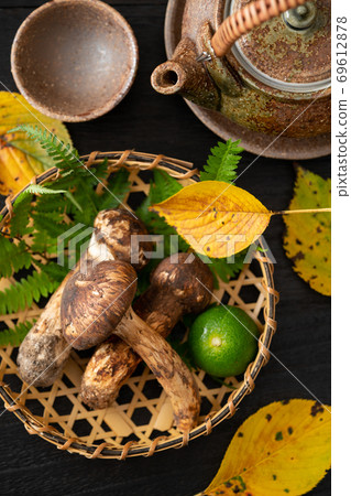 松茸和一壺 松茸和一壺 69612878