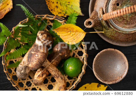 松茸和一壺 松茸和一壺 69612880