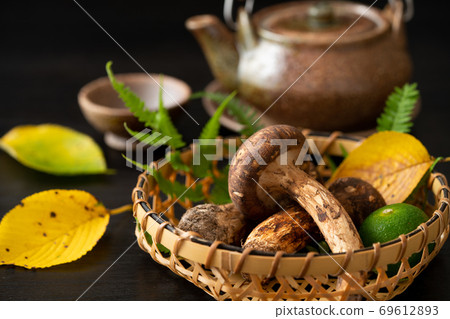 松茸和一壺 松茸和一壺 69612893