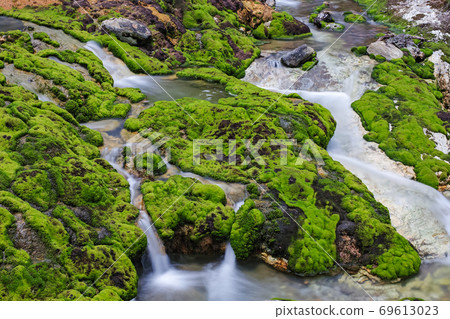 Gunma Prefecture / Chatsubomi Moss Park during the rainy season 69613023