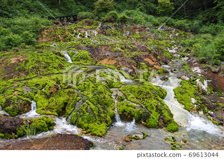 Gunma Prefecture / Chatsubomi Moss Park during the rainy season Gunma Prefecture / Chatsubomi Moss Park during the rainy season 69613044