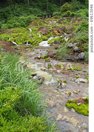 Gunma Prefecture / Chatsubomi Moss Park during the rainy season 69613046