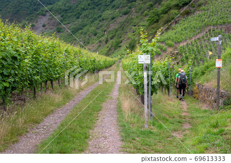 Waymark of Moselsteig close to Ernst, Germany 69613333