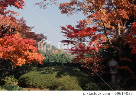 Autumn leaves of Genkoan Autumn leaves of Genkoan 69614083