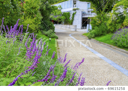 Awaji Yumebutai Autumn Flowers 69615258