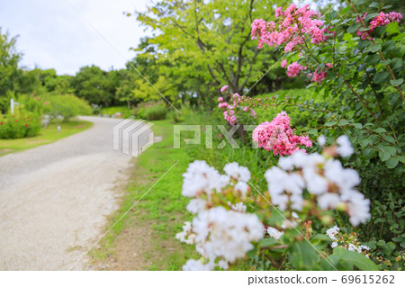 Awaji Yumebutai Autumn Flowers 69615262