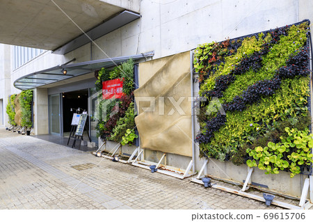 Miracle star botanical hall 69615706