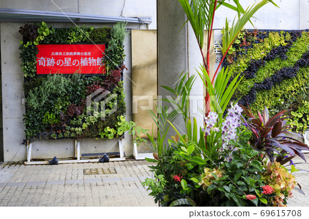 Miracle star botanical hall 69615708