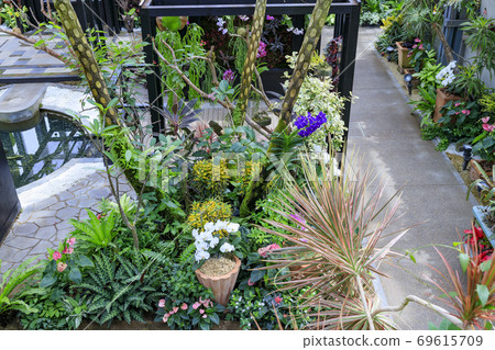 Miracle star botanical hall Miracle star botanical hall 69615709