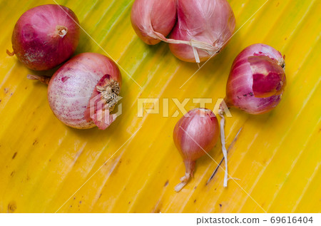 Red Onion on the Yellow Banana Leaf 69616404