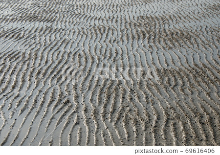Texture of Sand Beach. Texture of Sand Beach. 69616406
