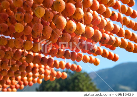 "Kushikaki no Sato" in Katsuragi Town, Wakayama Prefecture 04 69616429