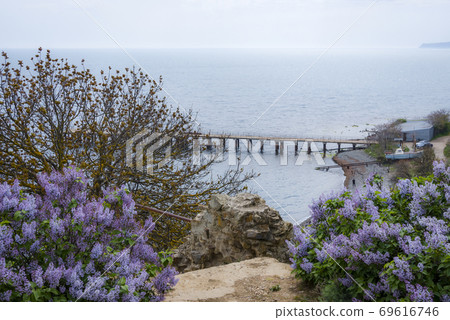 The beach with a pier, trees and bushes of flowers in the light morning fog 69616746