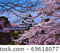 櫻花，春天的天空，兼六園，金澤，賞櫻花 69618077