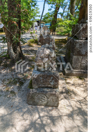 京都宮津千代寺附近的小牧犬 69619360