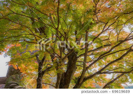 荒山秋岡城堡廢墟 69619689