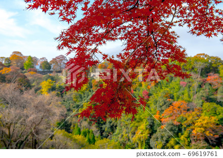 荒山秋岡城堡廢墟 荒山秋岡城堡廢墟 69619761