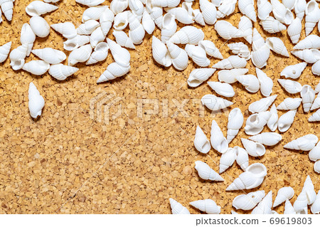 Seashell image 69619803
