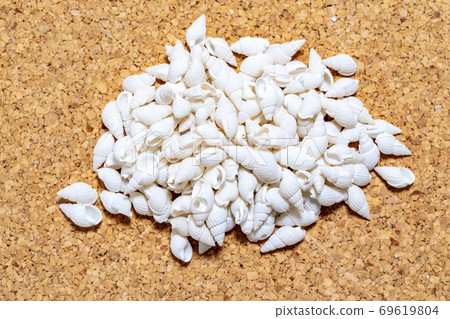 Seashell image 69619804