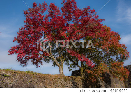 荒山秋岡城堡廢墟 69619951