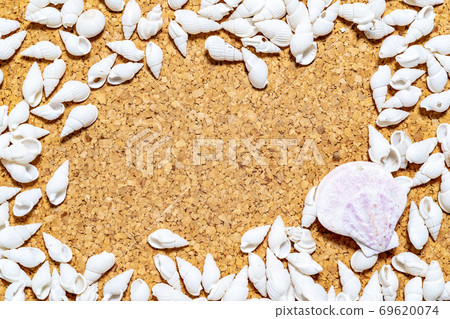 Background material Seashell frame Background material Seashell frame 69620074