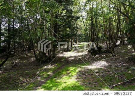 Yamabushi和Otanimine之間的山間小道 69620127