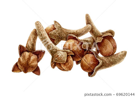 Clove spice heap watercolor illustration. Clove spice heap watercolor illustration. 69620144