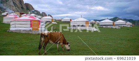 旅遊凝膠 69621019