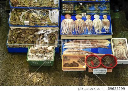 魚市場 魚市場 69622299