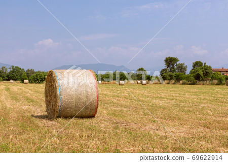 Hay rolls on a village field in northern Italy. Beautiful sunny summer day 69622914