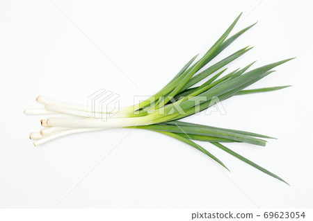 白洋蔥，白底，白底 69623054
