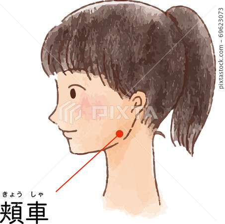 鍋和經孔“ Shinsha”的手繪風格插圖 69623073