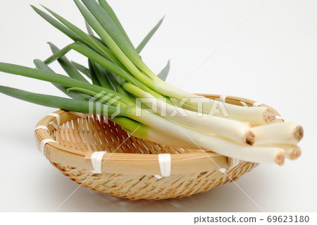 Bamboo colander and white onion white background white background 69623180