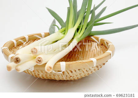 竹zaru和白洋蔥白色背景白色背景 69623181