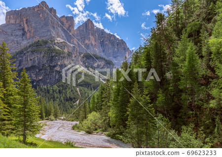 Mountain stream in the Italian Dolomite Alps surrounded by fresh forest 69623233
