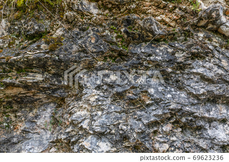Texture of a stone overgrown with moss in the forest 69623236