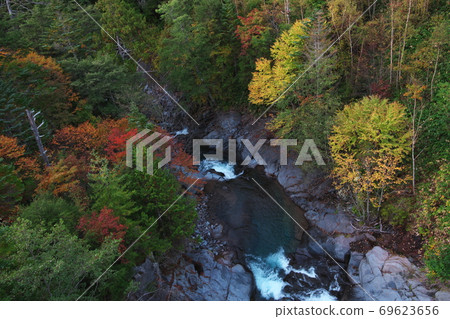 Muddy river of autumn leaves 69623656