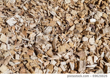 biomass woodchip in storage pit biomass woodchip in storage pit 69628826