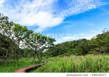 湘南三浦半島上的日本珍貴自然小泉之森(秋天) 湘南三浦半島上的日本珍貴自然小泉之森(秋天) 69628937