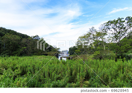 湘南三浦半島上的日本珍貴自然小泉之森(秋天) 湘南三浦半島上的日本珍貴自然小泉之森(秋天) 69628945