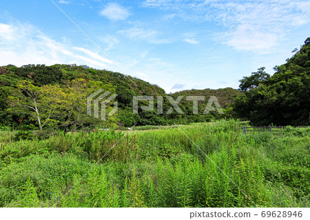 湘南三浦半島上的日本珍貴自然小泉之森(秋天) 湘南三浦半島上的日本珍貴自然小泉之森(秋天) 69628946
