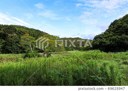 湘南三浦半島上的日本珍貴自然小泉之森(秋天) 湘南三浦半島上的日本珍貴自然小泉之森(秋天) 69628947