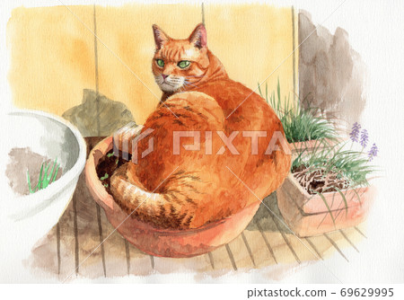 Analog watercolor Tabby cat basking in the sun with a watercolor planter Analog watercolor Tabby cat basking in the sun with a watercolor planter 69629995