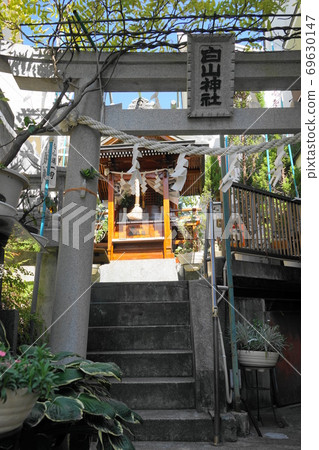 September Yokohama 602 Hakusan Shrine / Koyasuhama 69630147