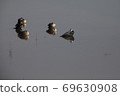 Water duck duck 69630908