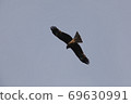Tobi flying in the sky 69630991
