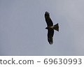 Tobi flying in the sky 69630993