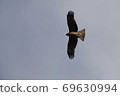 Tobi flying in the sky 69630994